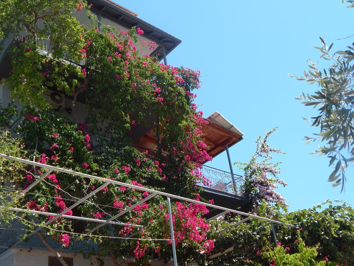 סיבוטה Sofia Apartments מראה חיצוני תמונה
