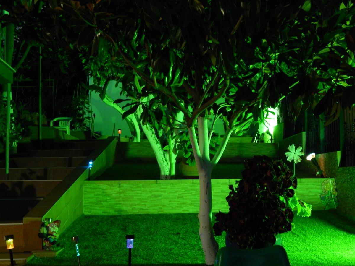 סיבוטה Sofia Apartments מראה חיצוני תמונה