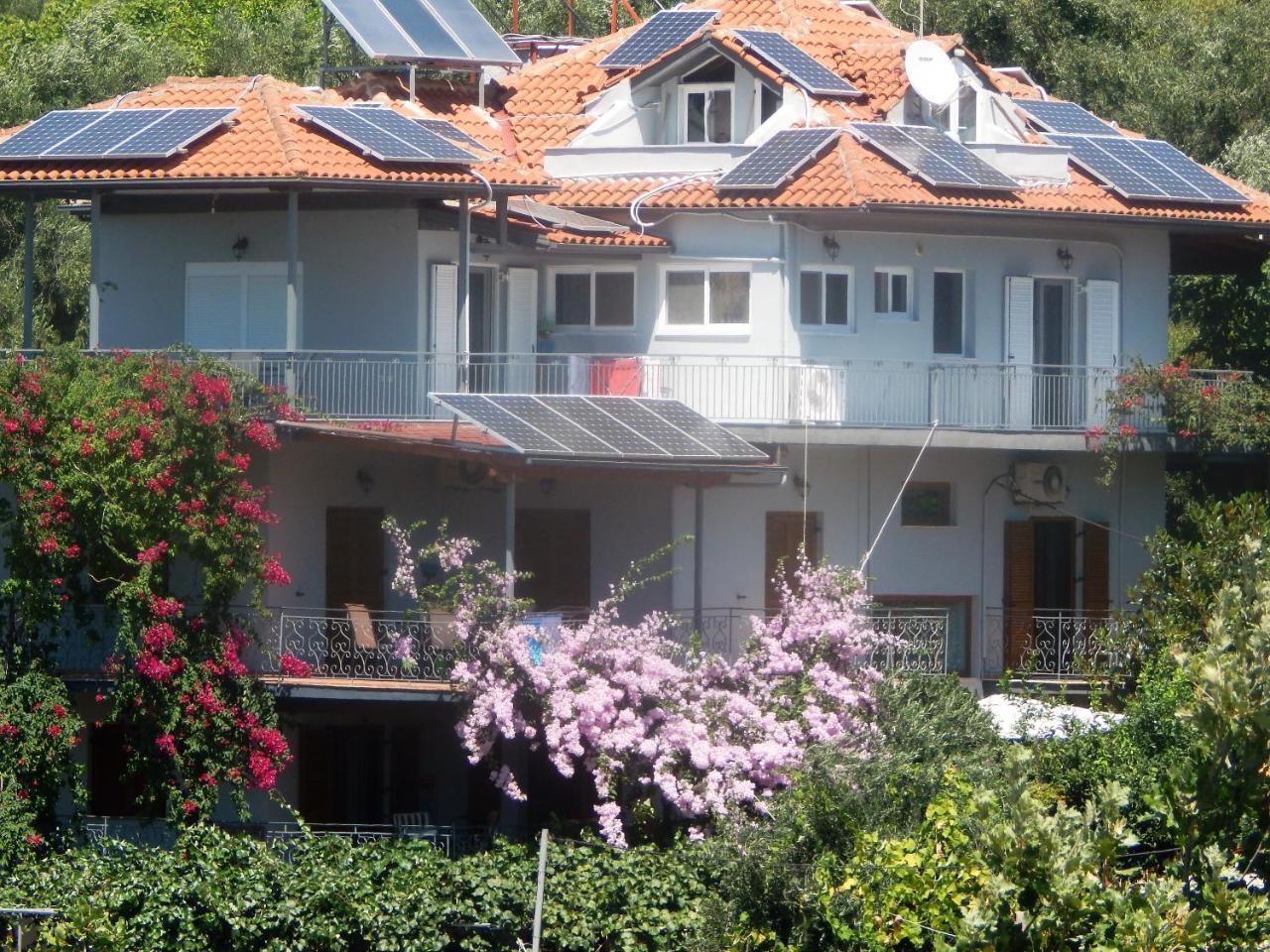 סיבוטה Sofia Apartments מראה חיצוני תמונה